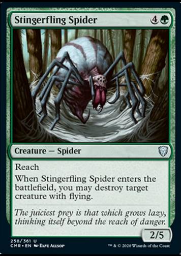 Stingerfling Spider (Stachelschleuderspinne)